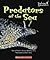 Predators of the Sea (Undersea Encounters)