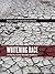 Whitening Race: Essays in S...
