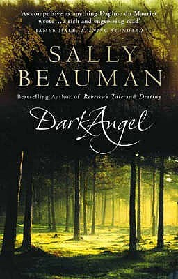 Dark Angel (Paperback)