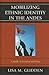 Mobilizing Ethnic Identities in the Andes: A Study of Ecuador and Peru