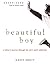 Beautiful Boy by David Sheff