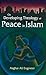 On Developing Theology of Peace in Islam