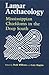 Lamar Archaeology: Mississippian Chiefdoms in the Deep South