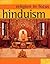 Hinduism (Religion in Focus)