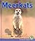 Meerkats by Conrad J. Storad