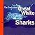 The Truth About Great White Sharks by Mary M. Cerullo