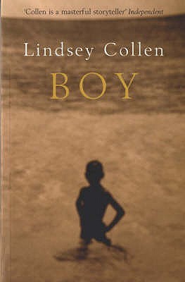 Boy (Paperback)