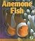 Anemone Fish (Early Bird Na...