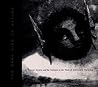 The Dark Side of Nature by Barbara Larson