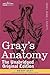 Gray's Anatomy by Henry Gray M.D. F.R.S.