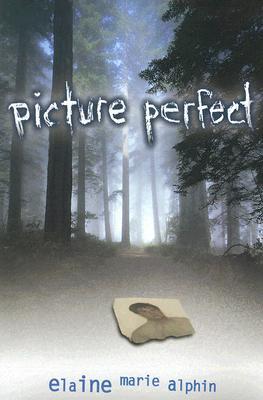 Picture Perfect (Paperback)