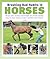 Breaking Bad Habits in Horses by Jo Bird Breaking Bad Habits in Horses by Jo Bird
