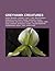 Greyhawk Creatures: Drow, Dragon, Undead, Yuan-Ti, Orc, Death Knight, Grimlock, Bullywug, Dwarf, Sahuagin, Ghoul, Aarakocra, Dracolich, Kopru