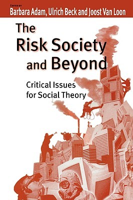 The Risk Society and Beyond: Critical Issues for Social Theory (Paperback)