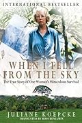 When I Fell From the Sky