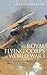 A Brief History of the Royal Flying Corps in World War One
