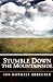 Stumble Down the Mountainside