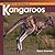 Welcome to the World of Kangaroos