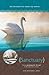 Sanctuary: Finding Sanctuary for the Soul in the Presence of God (Women's Devotional)