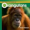 Welcome to the World of Orangutans Welcome to the World of Orangutans