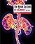 The Renal System at a Glance