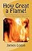 How Great a Flame!: Contemporary Lessons from The Wesleyan Revival