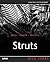 Struts: Kick Start