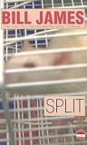 Split (Simon Abelard Mystery) Split (Simon Abelard Mystery)