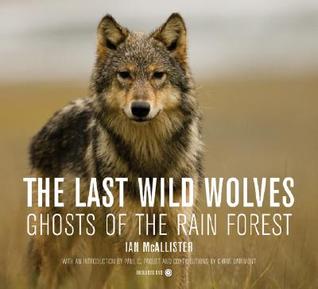 The Last Wild Wolves: Ghosts of the Rain Forest (Hardcover)