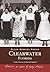 Clearwater, Florida (Black America Series)