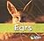 Ears (Acorn)