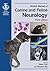 BSAVA Manual of Canine and Feline Neurology