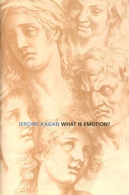 What Is Emotion?: History, Measures, and Meanings (Hardcover)