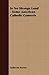 In No Strange Land: Some American Catholic Converts