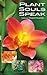 Plant Souls Speak by Robert Shapiro