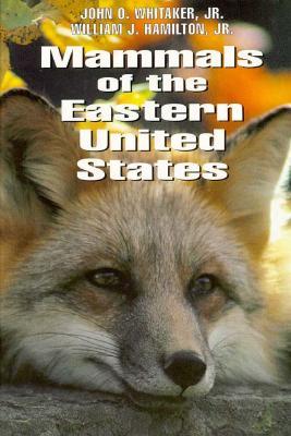 Mammals of the Eastern United States (Hardcover)