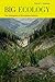 Big Ecology by David C. Coleman