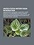 United States History Book Introduction: America's Great Depression, the Big Test, a Short History of the Confederate States of America
