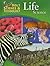 Holt Science and Technology: Life Science (Holt Science & Technology: Life Science)