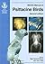 BSAVA Manual of Psittacine ...