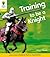 Training to Be a Knight