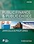 Public Finance and Public Choice: Analytical Perspectives