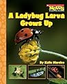 A Ladybug Larva Grows Up