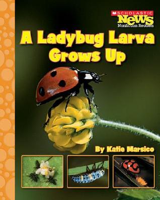 A Ladybug Larva Grows Up (Scholastic News Nonfiction Readers)