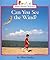Can You See the Wind? (Rookie Read-About Science)
