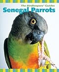 Senegal Parrots