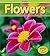 Flowers (Plants)