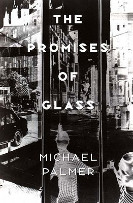 The Promises of Glass (Paperback)