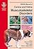BSAVA Manual of Canine and Feline Musculosketal Disorders (BSAVA Manuals)