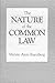 The Nature of the Common Law